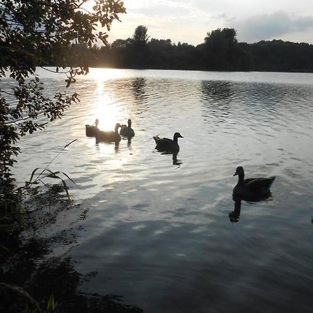 The Lake House: A Delightful And Peaceful Retreat. Derrymacash Zewnętrze zdjęcie