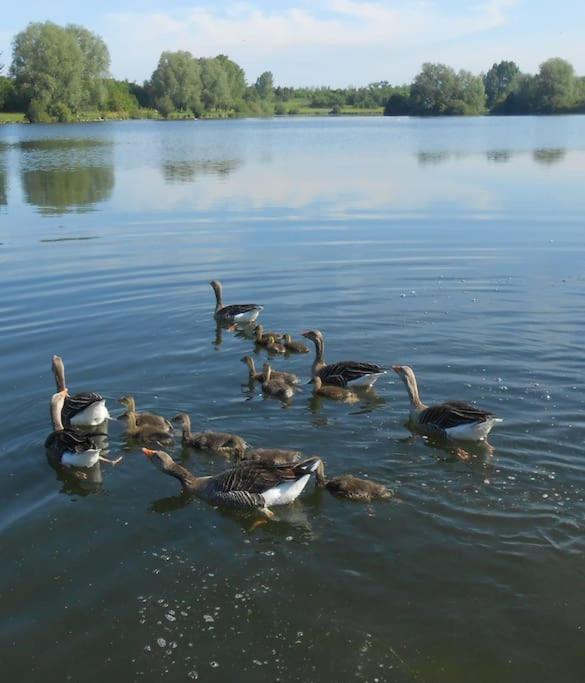 The Lake House: A Delightful And Peaceful Retreat. Derrymacash Zewnętrze zdjęcie