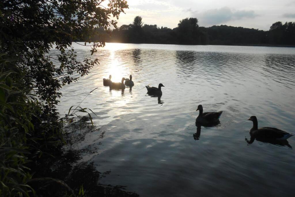 The Lake House: A Delightful And Peaceful Retreat. Derrymacash Zewnętrze zdjęcie