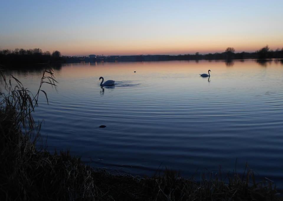 The Lake House: A Delightful And Peaceful Retreat. Derrymacash Zewnętrze zdjęcie